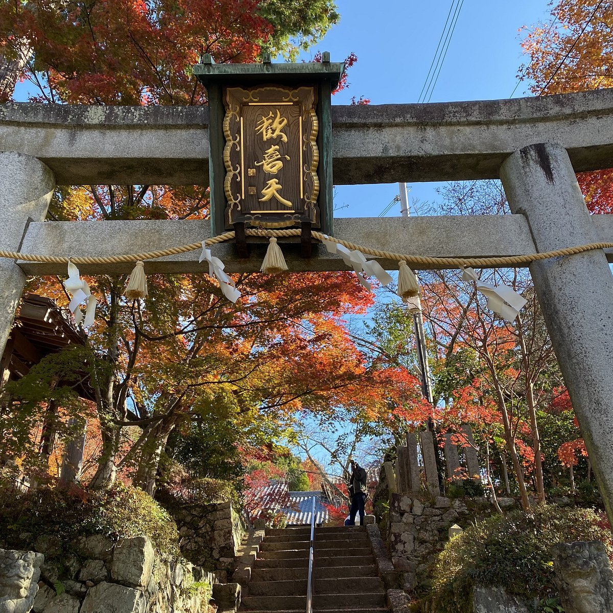 ⛩️ 성천궁 서강사(쇼텐구 사이코지) 이미지 6